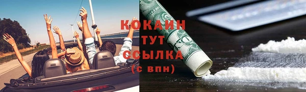 прущие грибы Алзамай