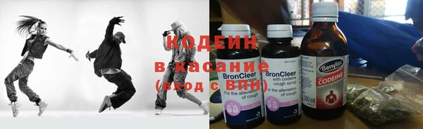 прущие грибы Алзамай