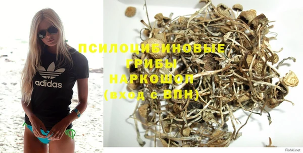гидра Алексин