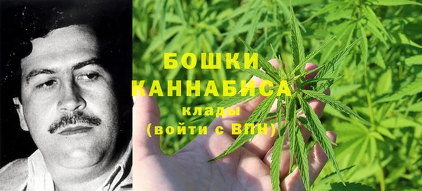 гидра Алексин