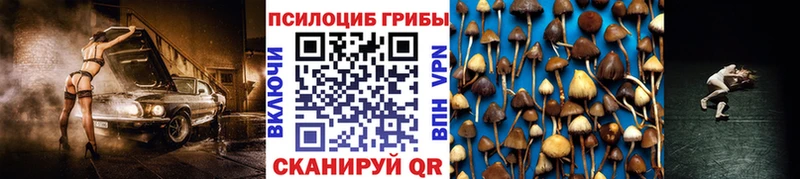 blacksprut tor  Алупка  Псилоцибиновые грибы Magic Shrooms 